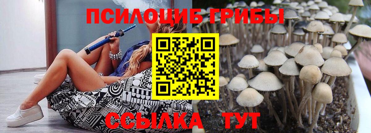 Галлюциногенные грибы Cubensis Выборг
