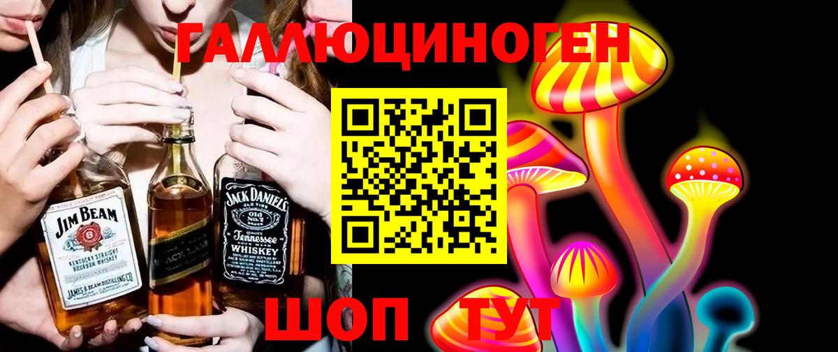 дарнет шоп  Вход с VPN  Выборг  Псилоцибиновые грибы Psilocybine cubensis 